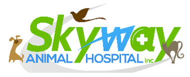 Skyway Animal Hospital, 3258 5th Ave S, Saint Petersburg, FL, Veterinarians  Dvm Dentistry - MapQuest