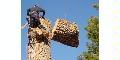 Anderson Creek Tree Removal Services