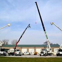 Td's Tree Service & Stump Removal