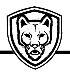 Catamount Crane Service Logo