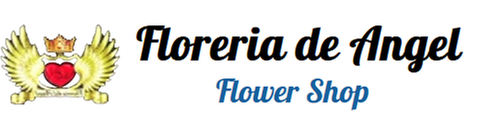 Floreira De Angel Flower Shop