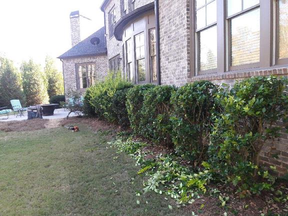 Carlos Granados Landscaping Tree Service In Lawrenceville Ga Carlos Granados Landscaping Tree Service