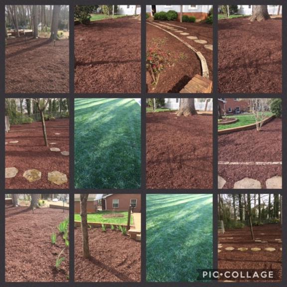 Alexander's Lawn Care