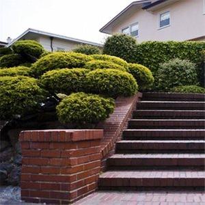 A & D Landscaping, Paving & Excavation Image
